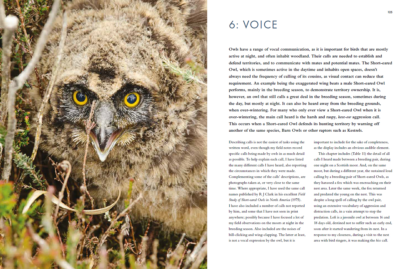 Photo of first two pages of Voice chapter